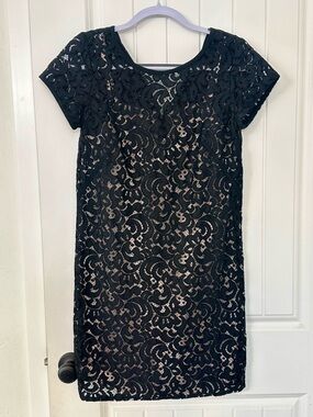 Black Lace Short Sleeve Shift Dress - Classic Women's Dress- LOFT
